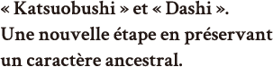 « Katsuobushi » et « Dashi ». Une nouvelle étape en préservant un caractère ancestral.